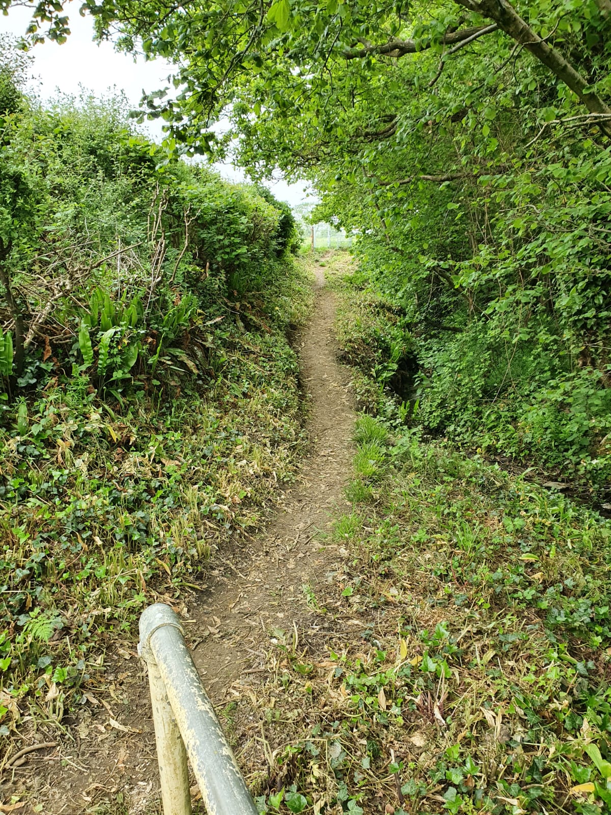 June 21 footpath