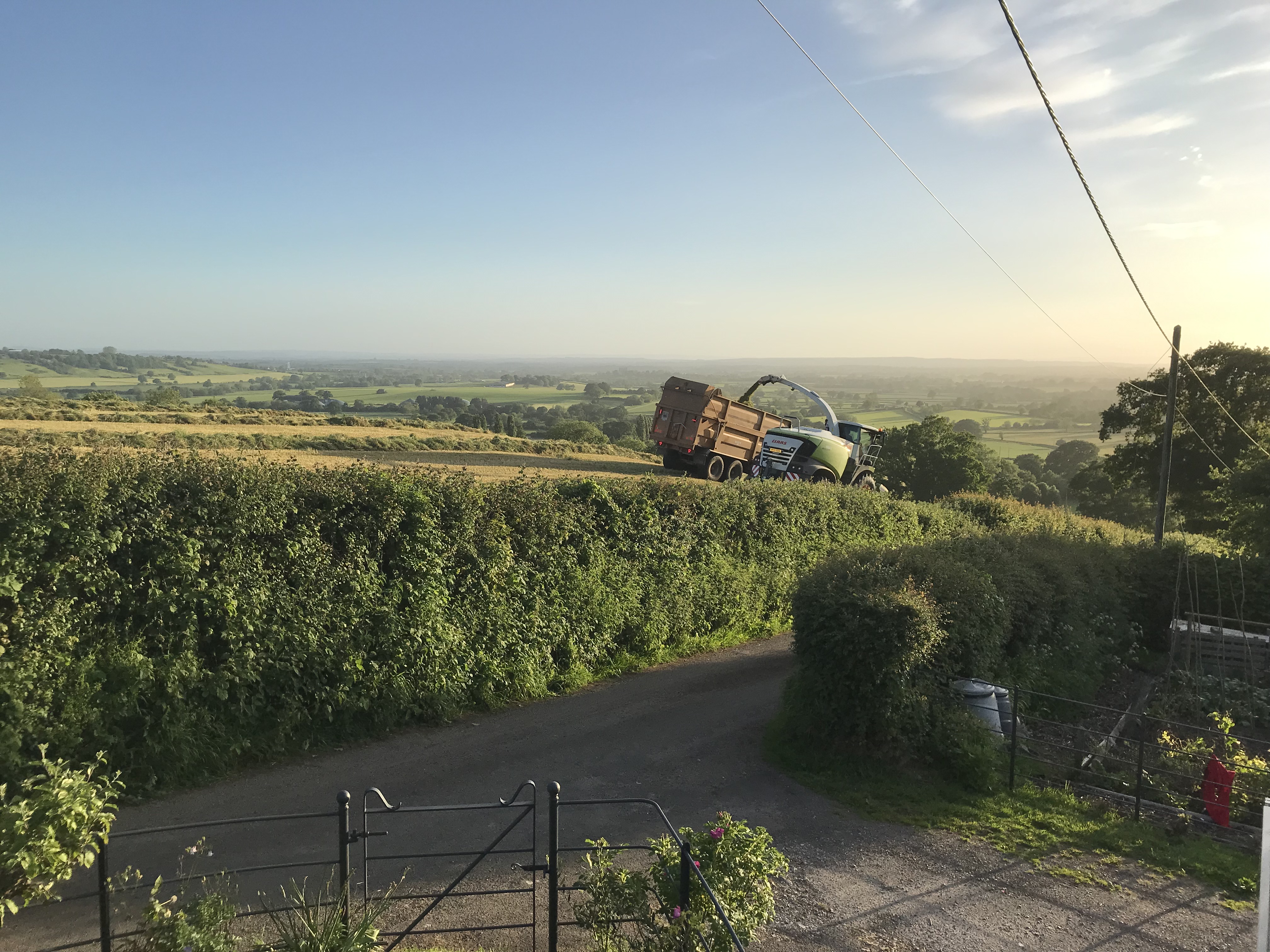 First cut on the hill
