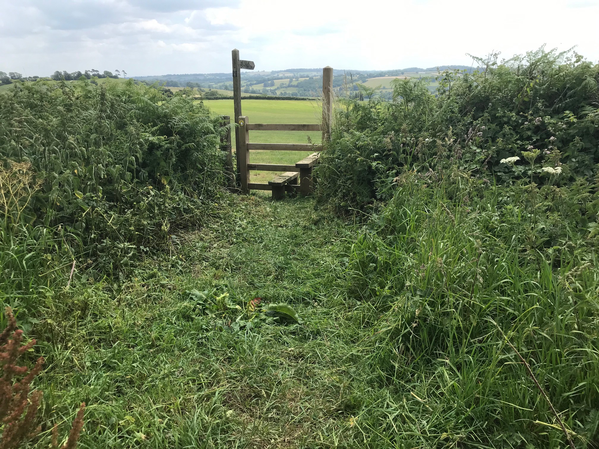 June Footpath to Bruton